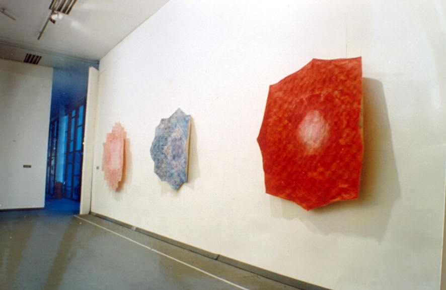 copia-de-1991-xxi-bienal-de-sp-sala21